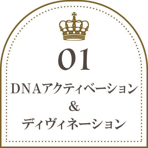DNAアクティベーション＆ディヴィネーション